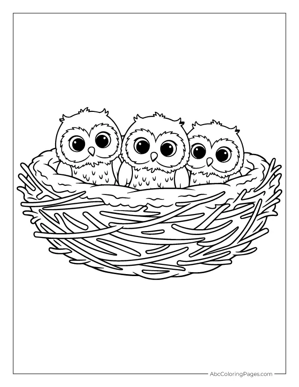 baby owls in nest coloring page