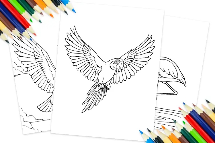A free printable bird coloring pages for kids – fun and simple bird drawing to color
