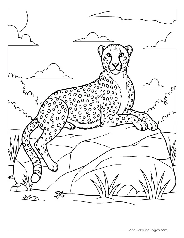 safari animals coloring pages cheetah lying on rock