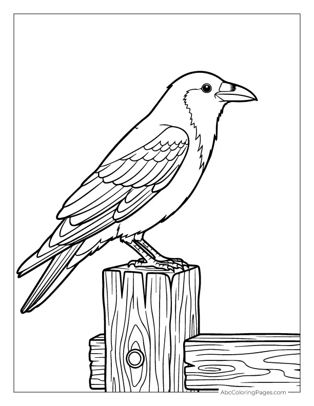 crow on fence coloring page