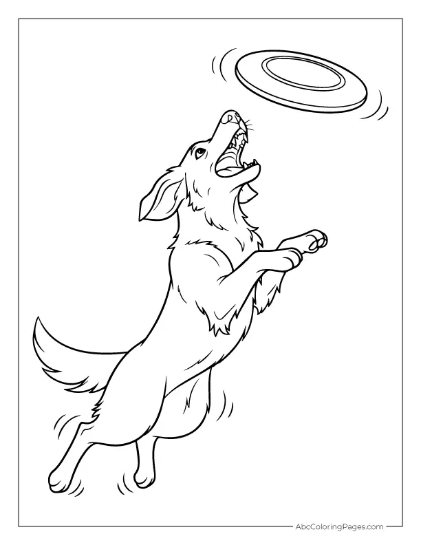 dog jumping to catch frisbee coloring sheet