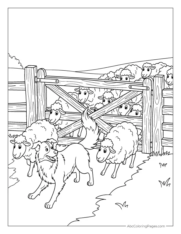sheepdog herding sheep line art drawing