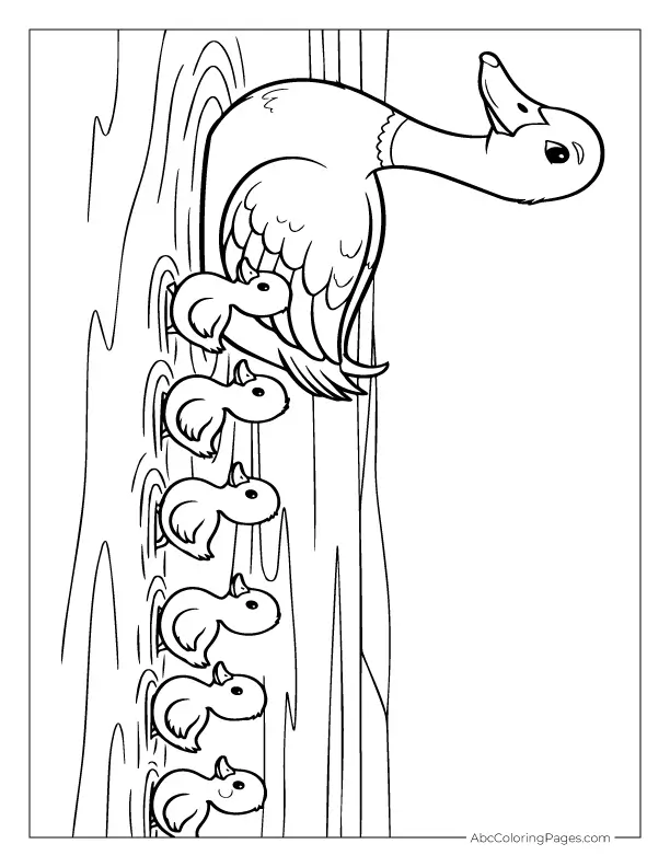 duck and ducklings coloring page
