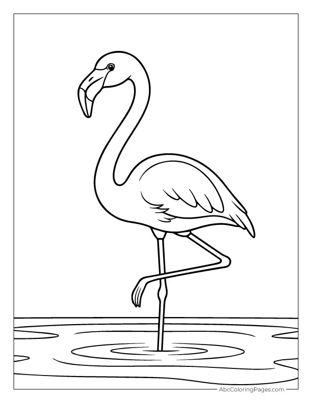 flamingo coloring page