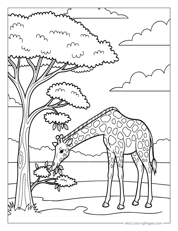 safari animals coloring pages giraffe eating leaves