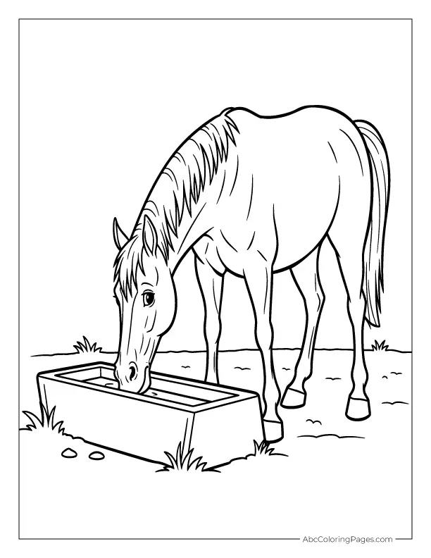 horse drinking water from trough farm page