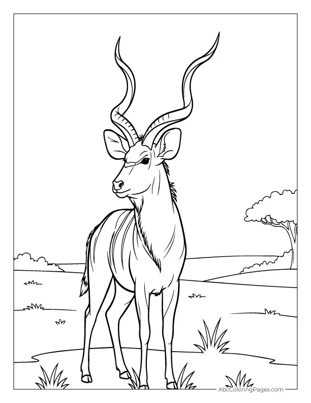 safari animals coloring pages kudu with long horns