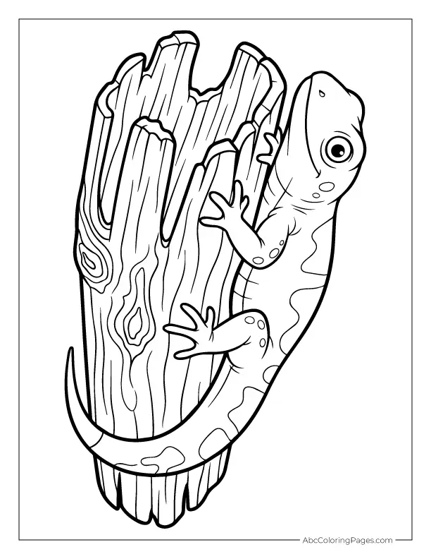 lizard on log cartoon-style coloring