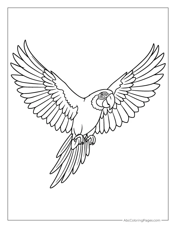macaw flying coloring page