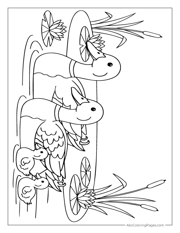 mallard duck family coloring page
