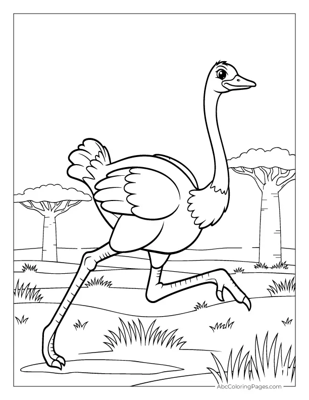 safari animals coloring pages running ostrich outline