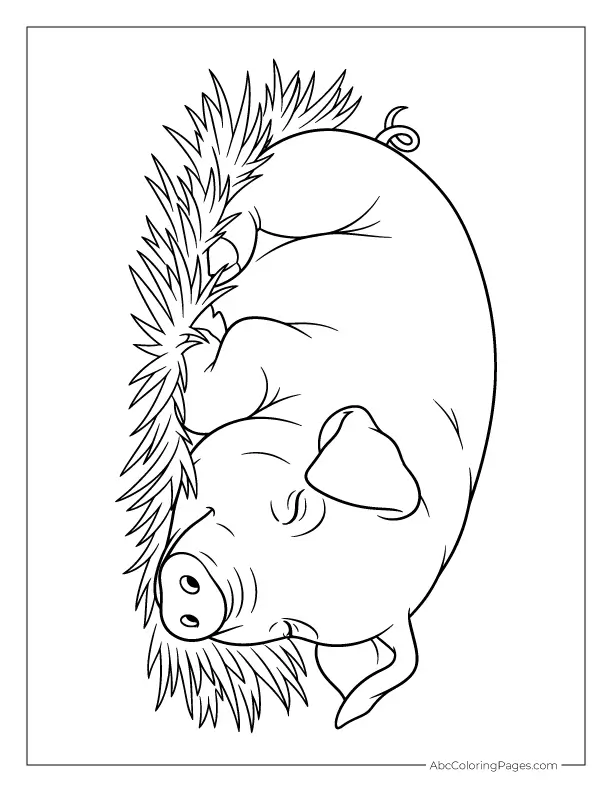pig sleeping in straw outline for kids