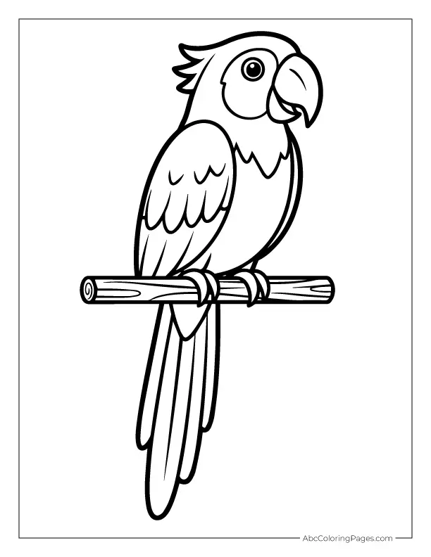 parrot on perch coloring page