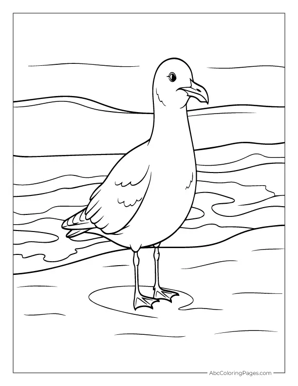 seagull on beach coloring page