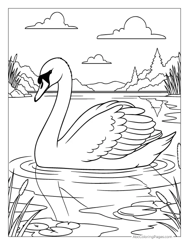 swan on lake coloring page