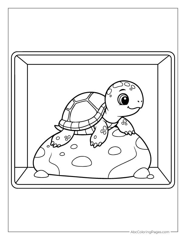 turtle on rock in tank coloring image