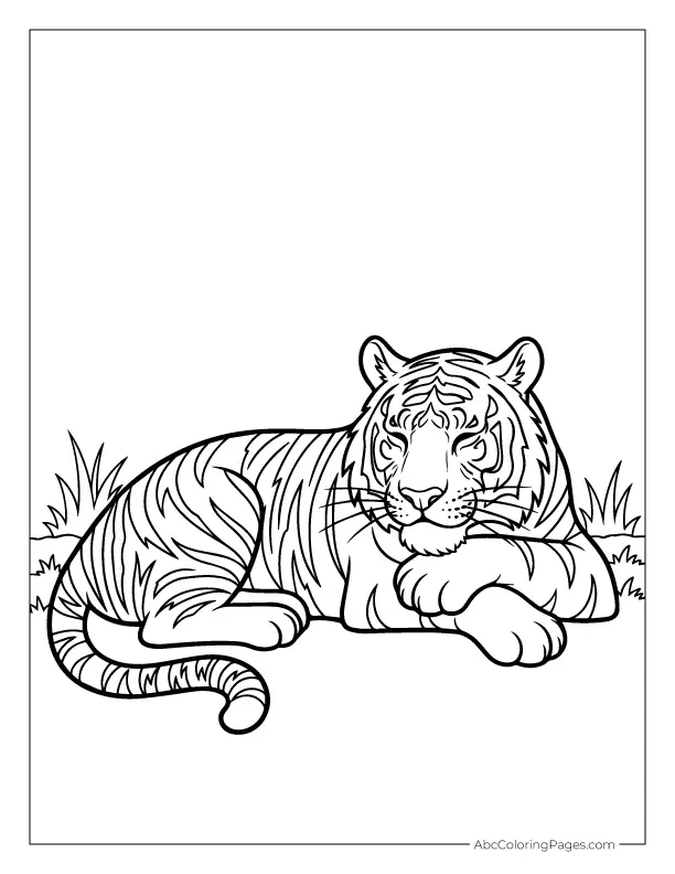 safari animals coloring pages resting tiger illustration