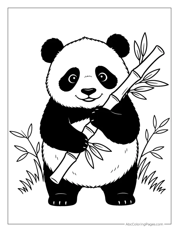 Free Printable Animal Coloring Pages 16 panda coloring page