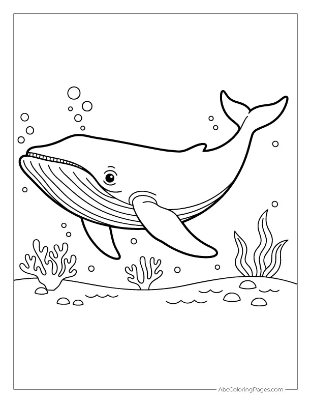 Free Printable Animal Coloring Pages 20 sea animals coloring pages whale
